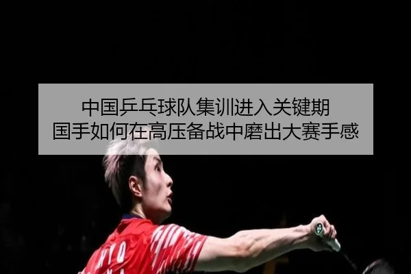 中国乒乓球队集训进入关键期 国手如何在高压备战中磨出大赛手感